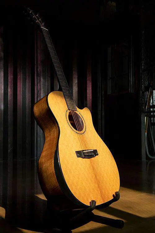 Cort Gold-Edge Natural - Image 2