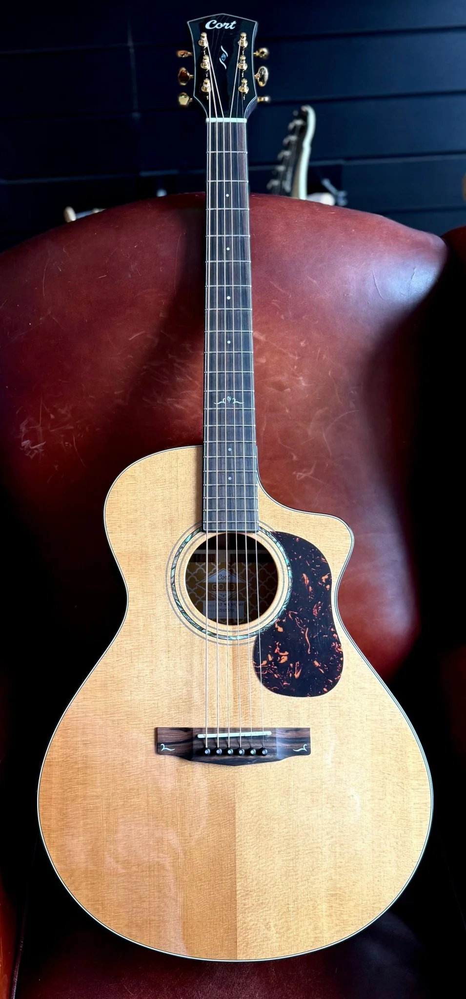 Cort Gold MC6 Ovangkol Electro Acoustic Guitar w/Case w' £225 Custom Pro Setup & Support Package - Image 13
