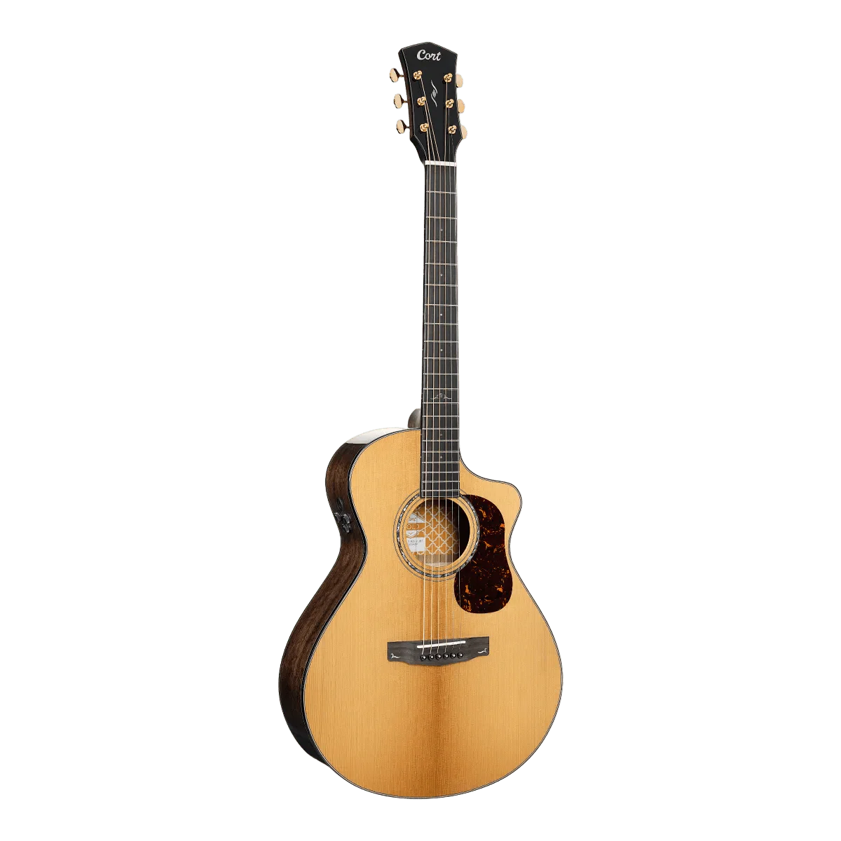 Cort Gold MC6 Ovangkol Electro Acoustic Guitar w/Case w' £225 Custom Pro Setup & Support Package - Image 14