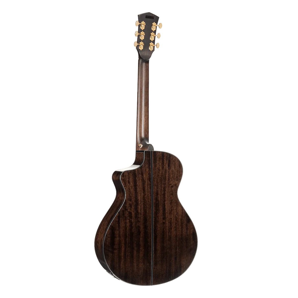 Cort Gold MC6 Ovangkol Electro Acoustic Guitar w/Case w' £225 Custom Pro Setup & Support Package - Image 15