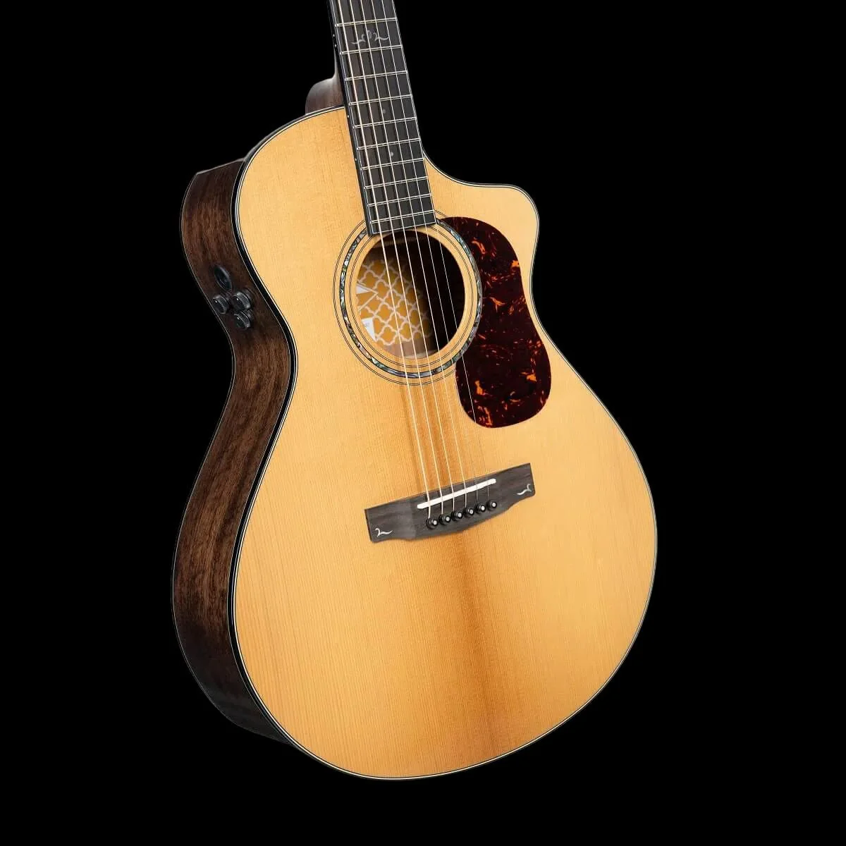 Cort Gold MC6 Ovangkol Electro Acoustic Guitar w/Case w' £225 Custom Pro Setup & Support Package - Image 16