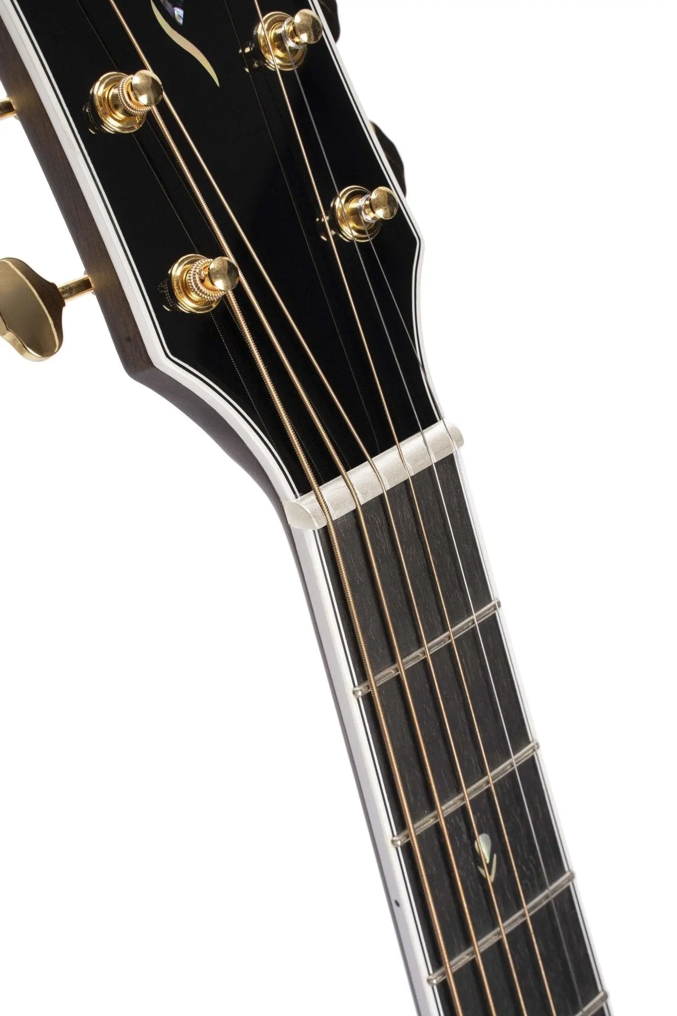 Cort Gold OC8 Natural - Image 15