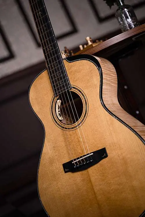 Cort Gold Passion Natural with Case - Image 15