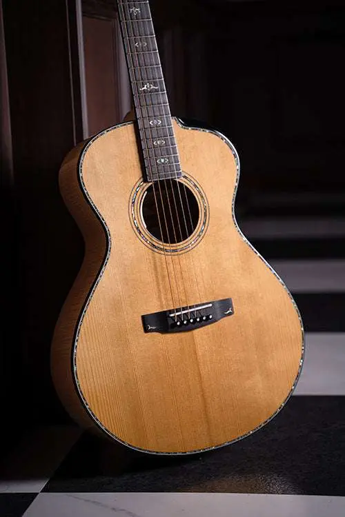 Cort Gold Passion Natural with Case - Image 4
