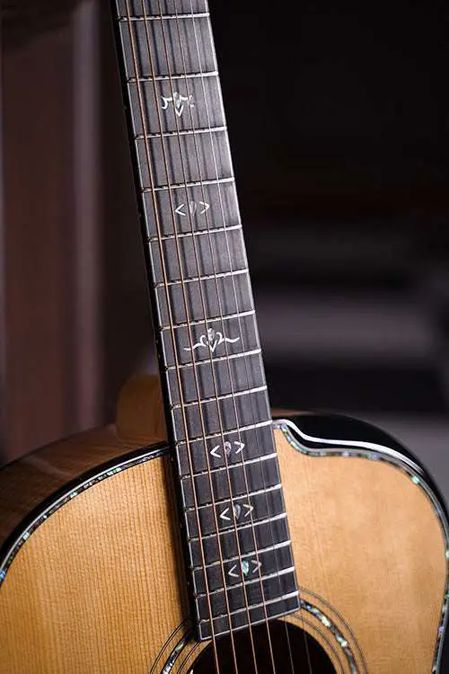 Cort Gold Passion Natural with Case - Image 5