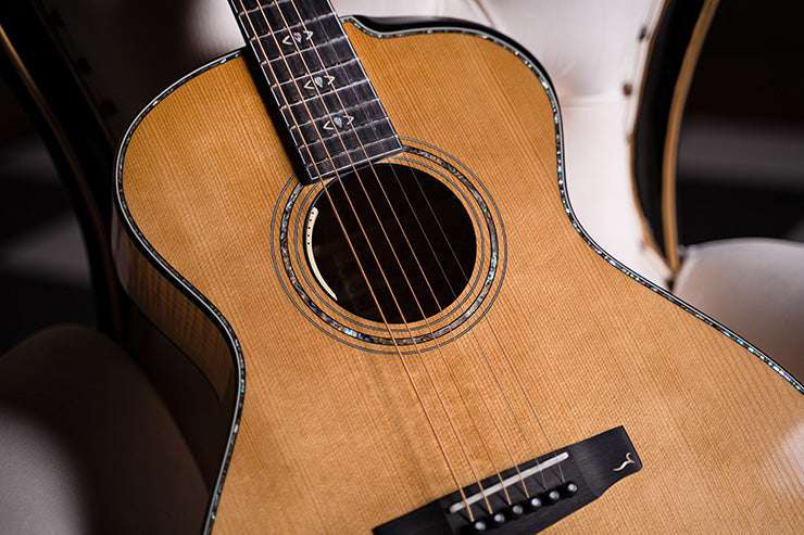 Cort Gold Passion Natural with Case - Image 7