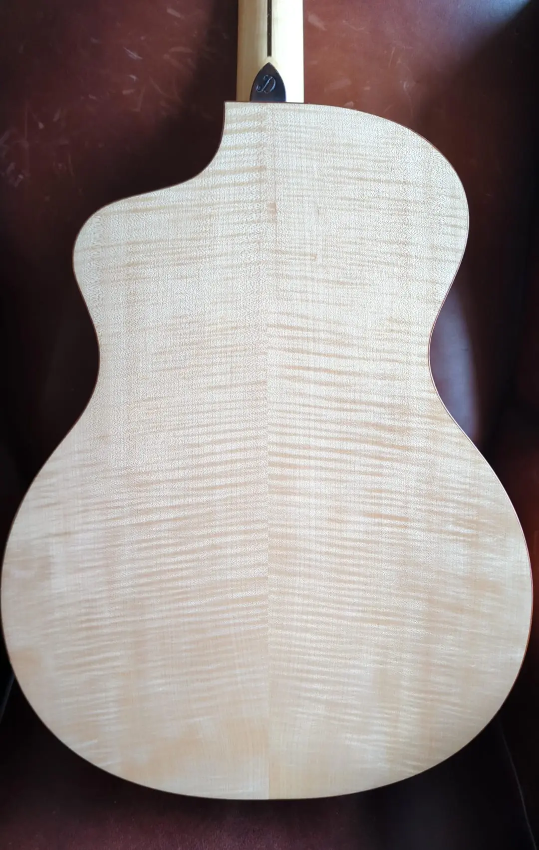 Dowina Acero GAc - Swiss Spruce and Maple (Used) - Image 2