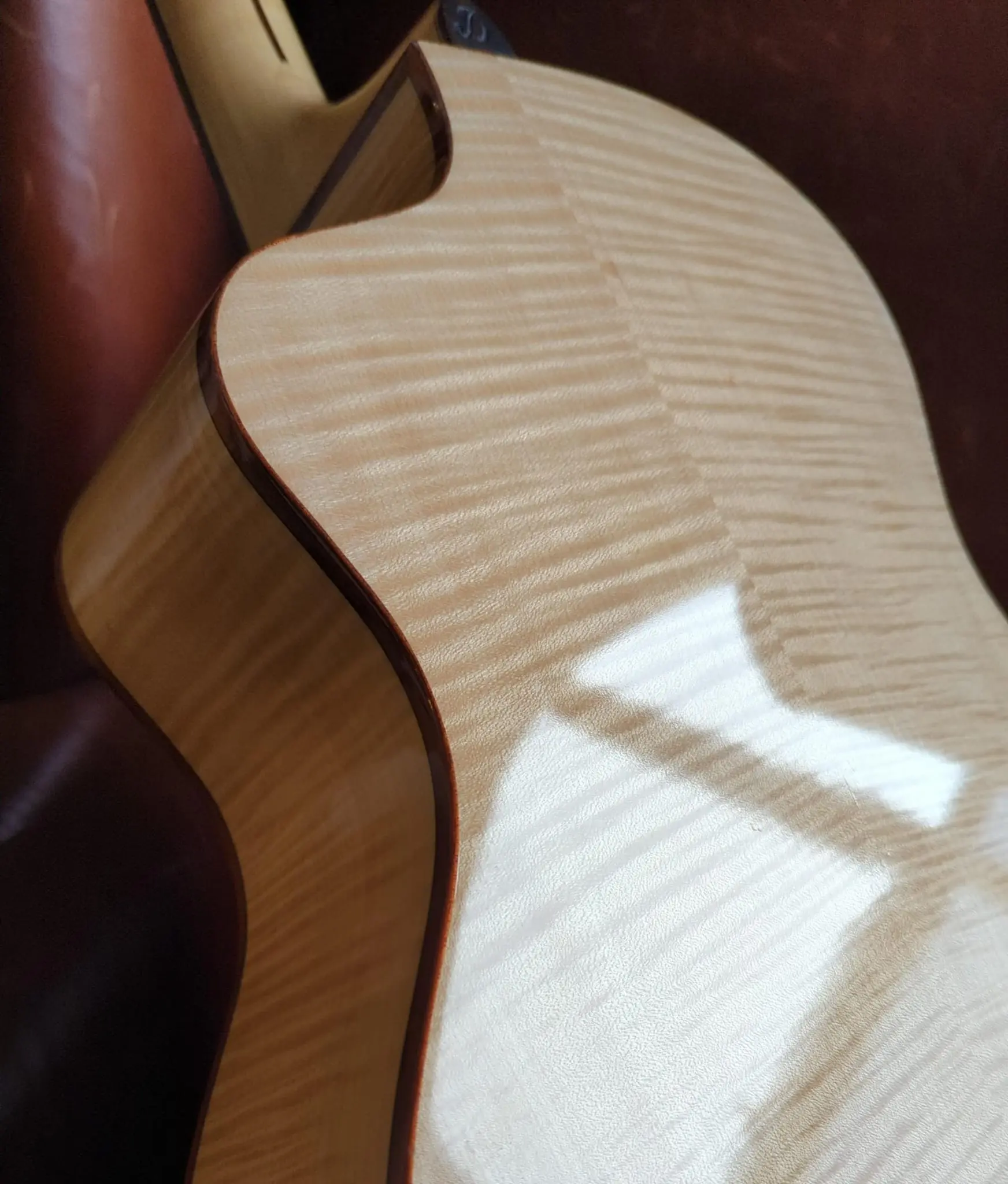 Dowina Acero GAc - Swiss Spruce and Maple (Used) - Image 3