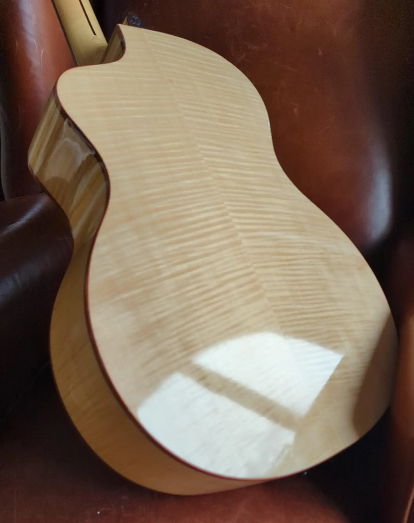 Dowina Acero GAc - Swiss Spruce and Maple (Used) - Image 7