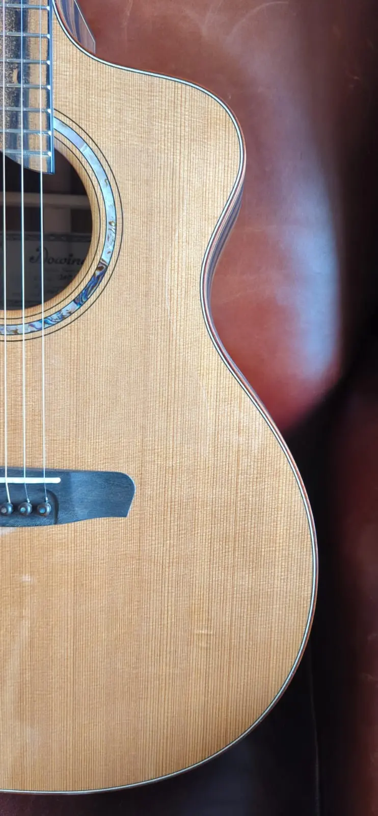 Dowina Custom Build Ebony GAC [Used] - Image 3