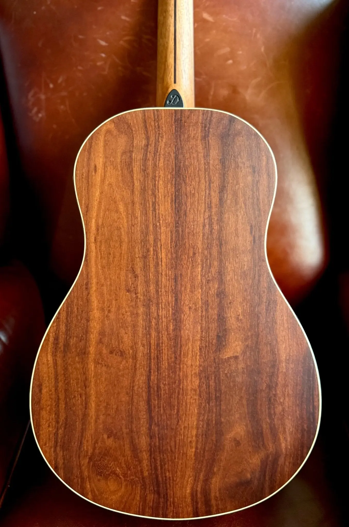 Dowina Granadillo Swiss Moon Spruce BV Acoustic Guitar - Image 2