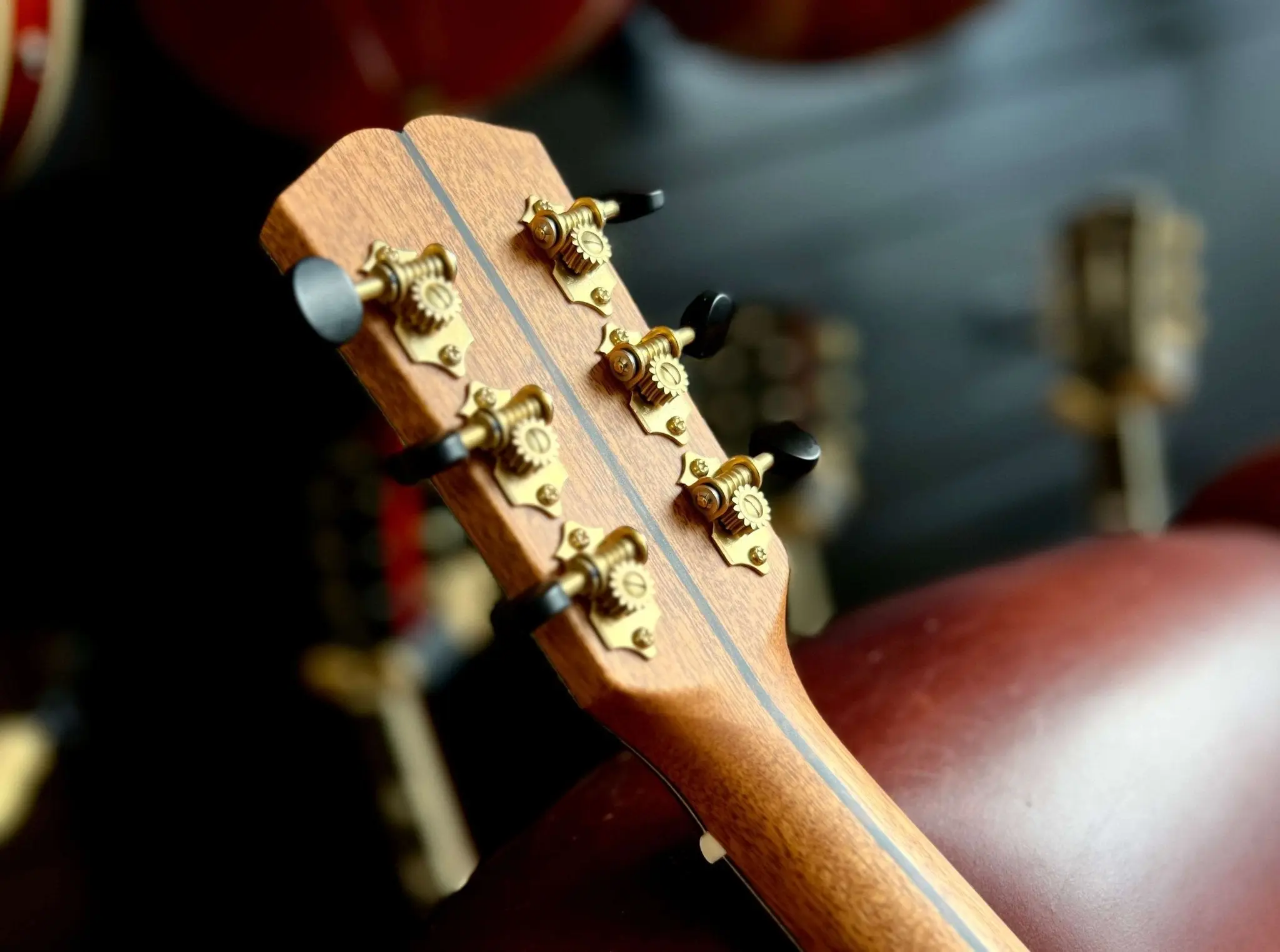 Dowina Gallery Edition Cocobolo GAC TSWS Acoustic Guitar - Image 18