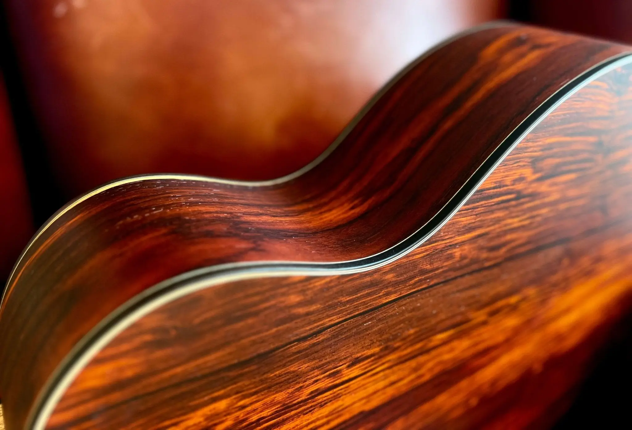 Dowina Gallery Edition Cocobolo GAC TSWS Acoustic Guitar - Image 4