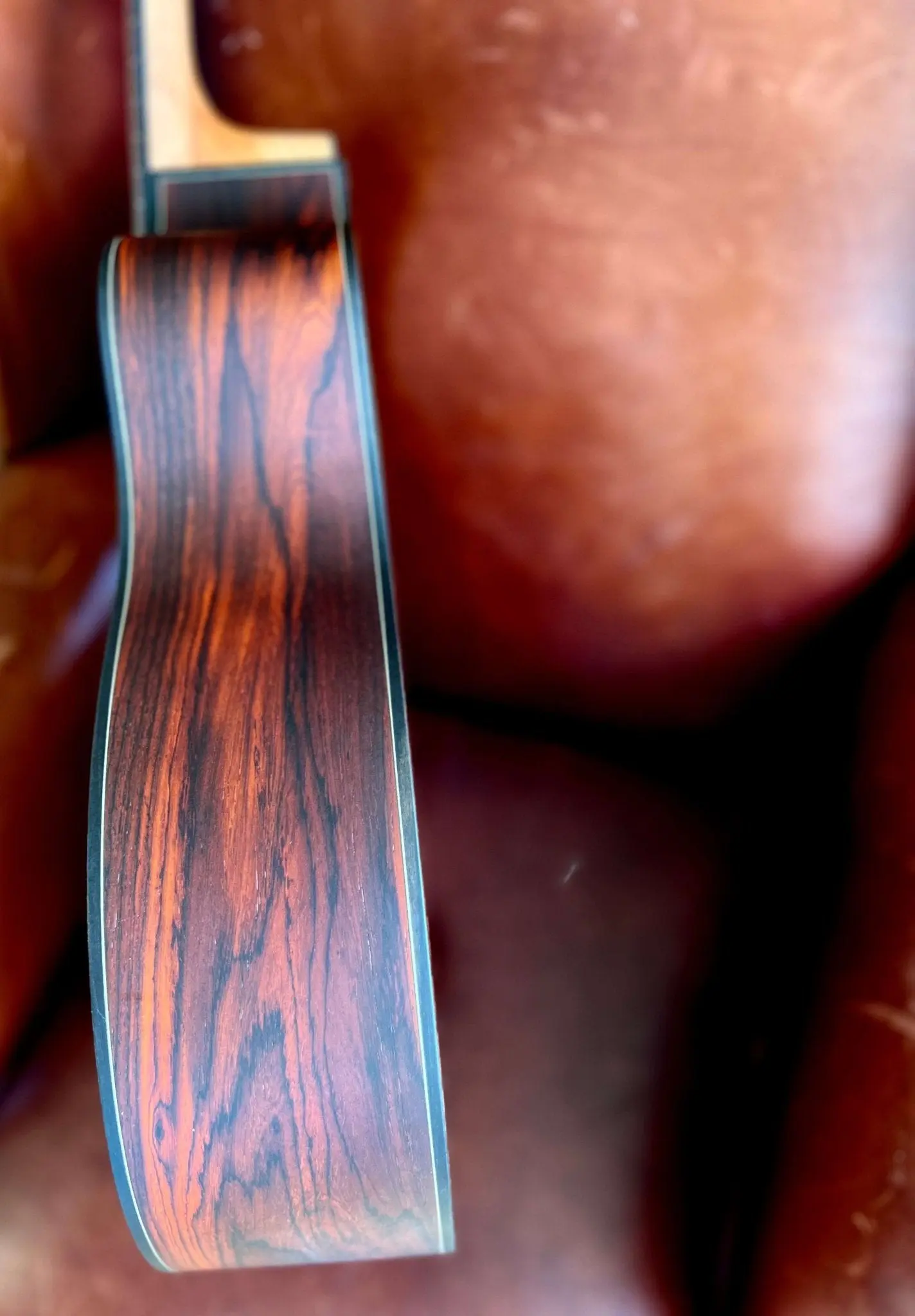 Dowina Gallery Edition Cocobolo GAC TSWS Acoustic Guitar - Image 7