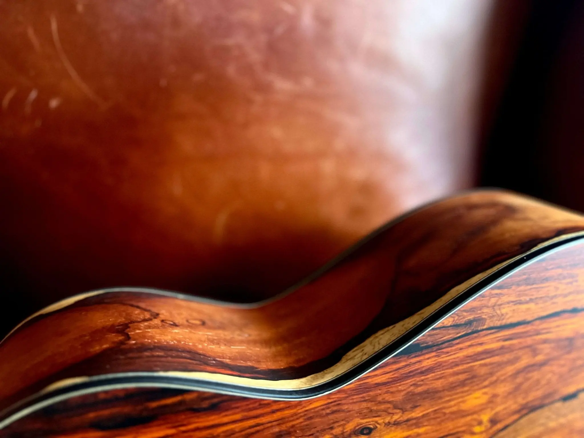 Dowina Gallery Edition Cedar Cocobolo OMG - Image 16