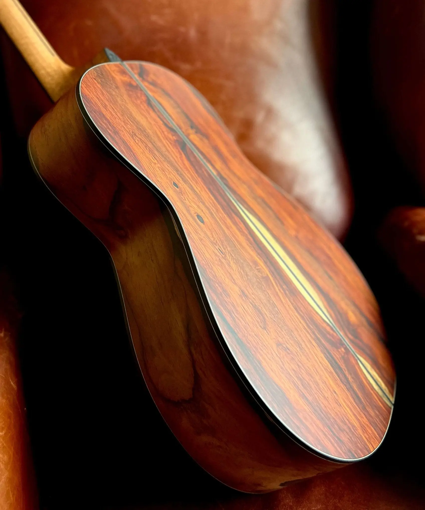 Dowina Gallery Edition Cedar Cocobolo OMG - Image 3