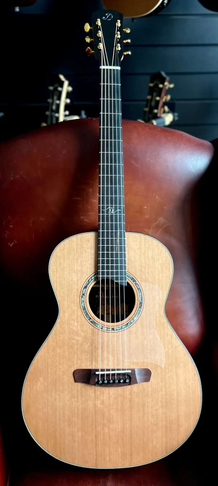 Dowina Gallery Edition Cedar Cocobolo OMG - Image 6