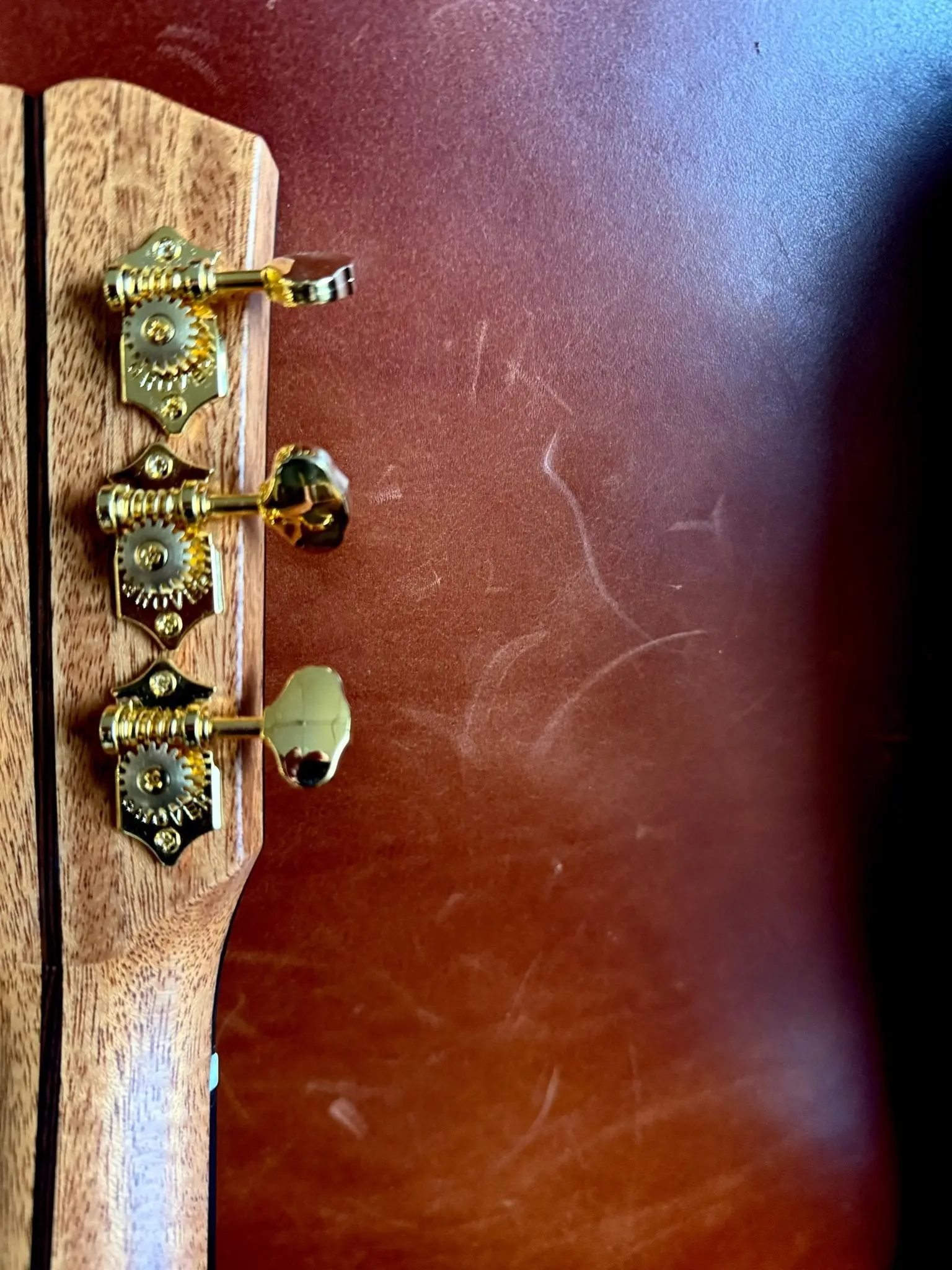 Dowina RoNY New York Rosewood GAC Custom Cedar Top Left Handed.  Boutique Guitars At Their Finest! - Image 2