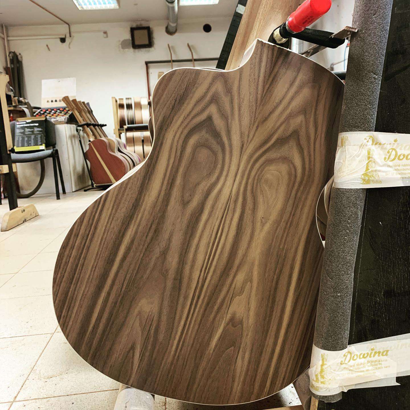 Dowina Walnut Tribute GAC Acoustic Guitar - Image 22