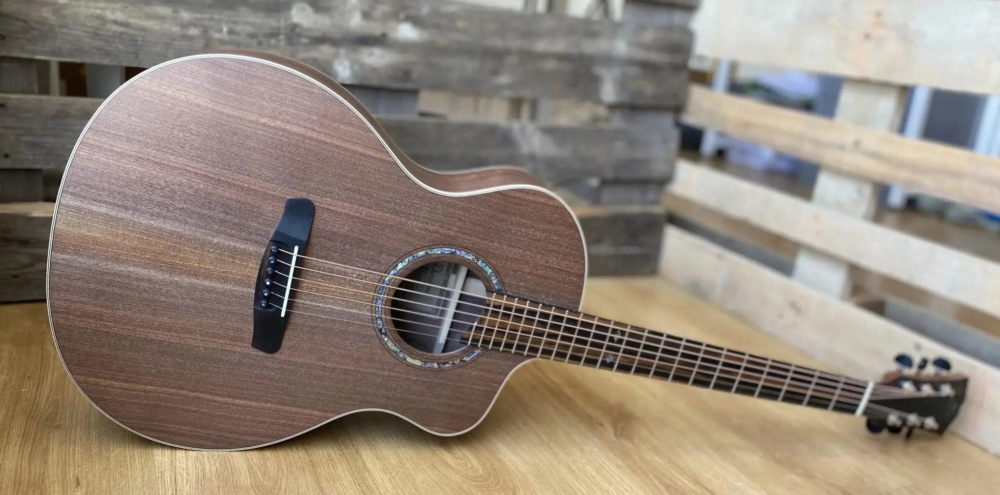 Dowina Walnut Tribute GAC Acoustic Guitar - Image 24