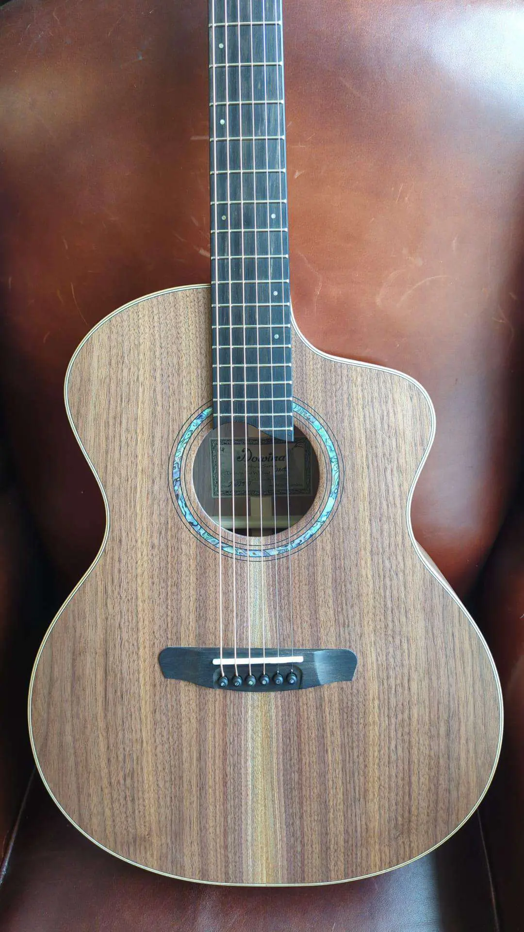 Dowina Walnut Tribute GAC Acoustic Guitar - Image 40