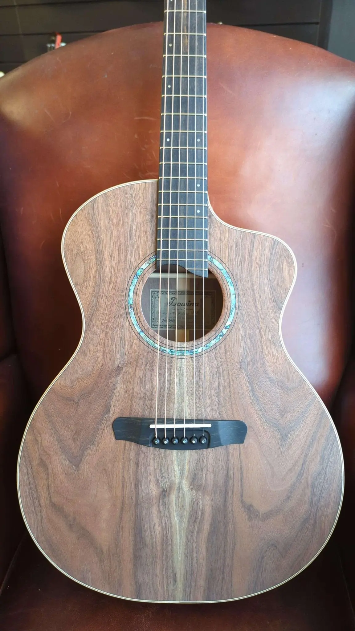Dowina Walnut Tribute GAC Acoustic Guitar - Image 43