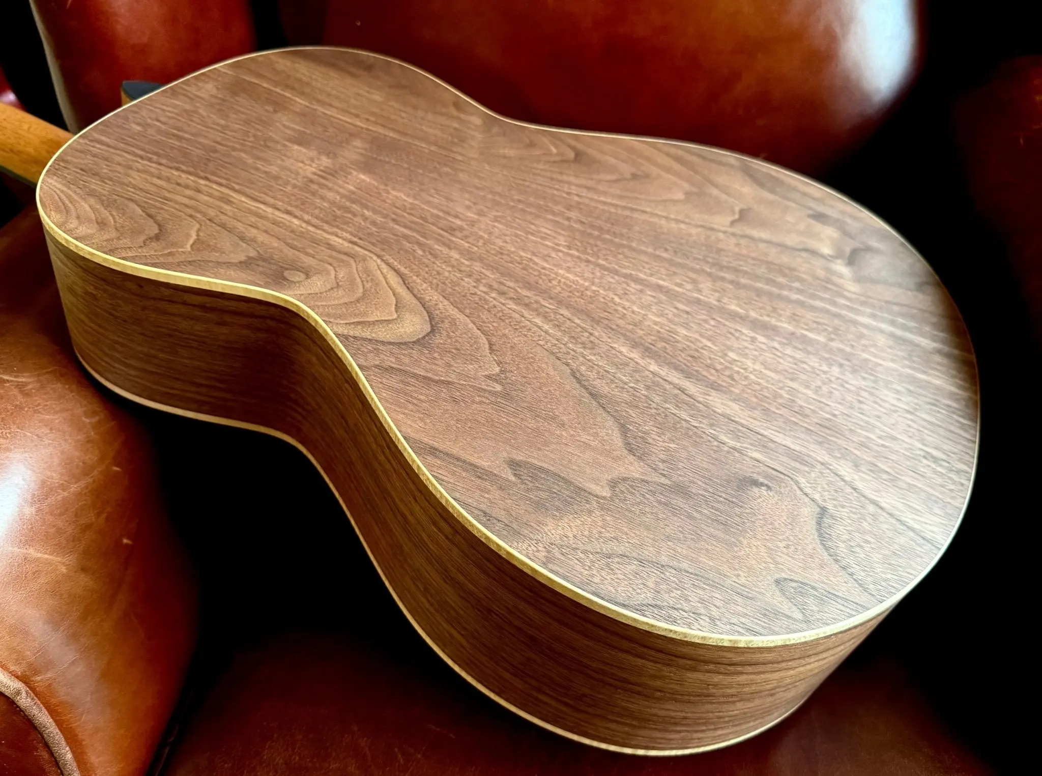 Dowina Walnut Tribute OMG - Image 11