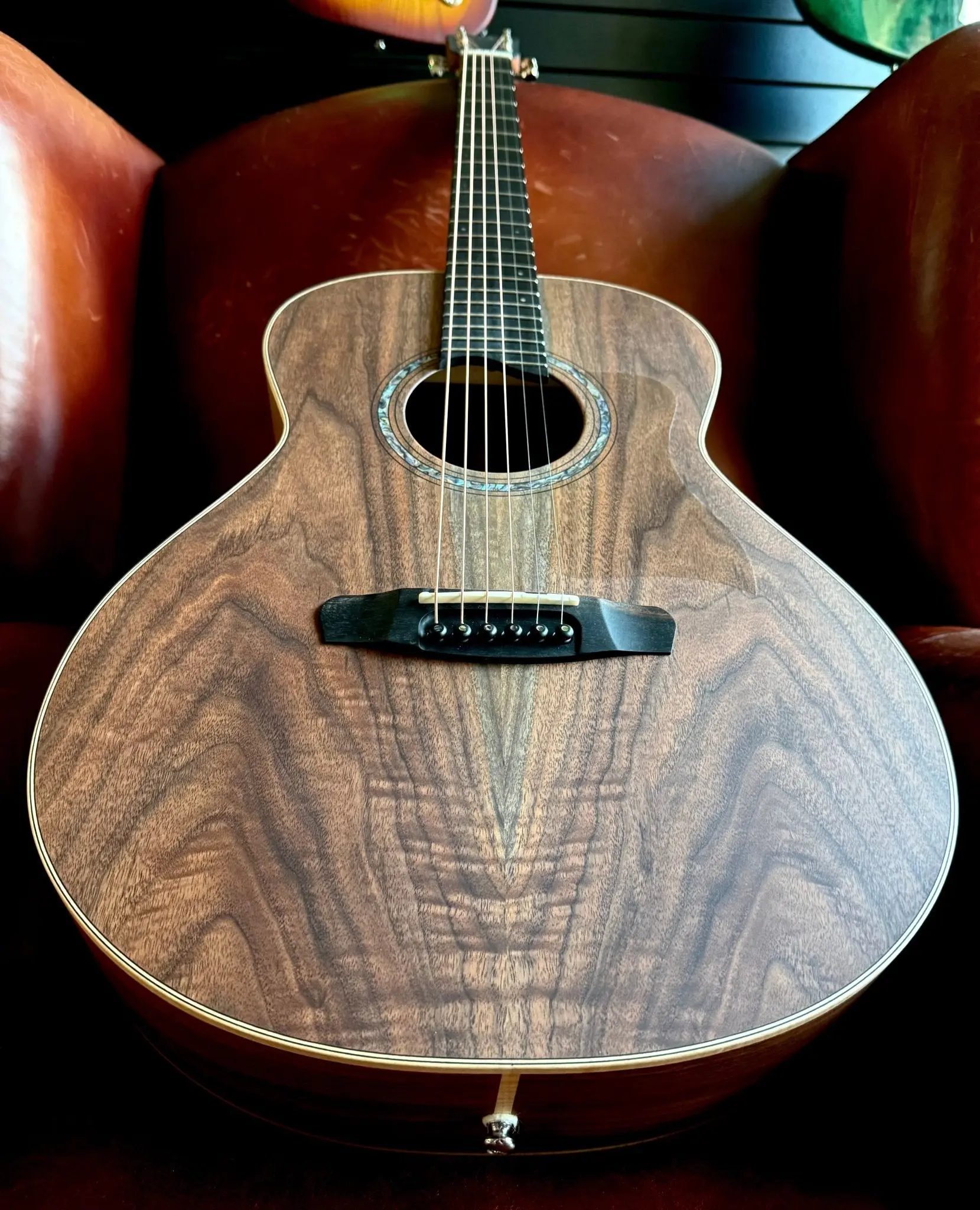 Dowina Walnut Tribute OMG - Image 14