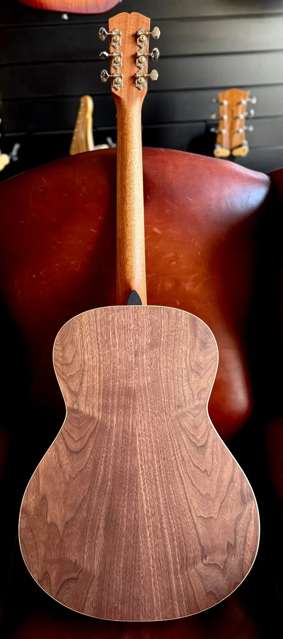 Dowina Walnut Tribute OMG - Image 16