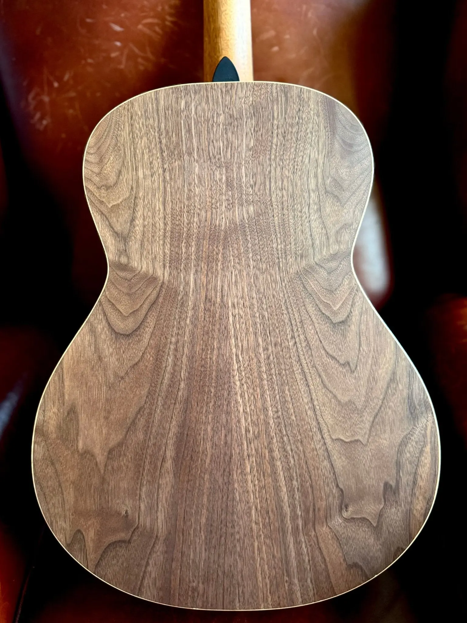 Dowina Walnut Tribute OMG - Image 2