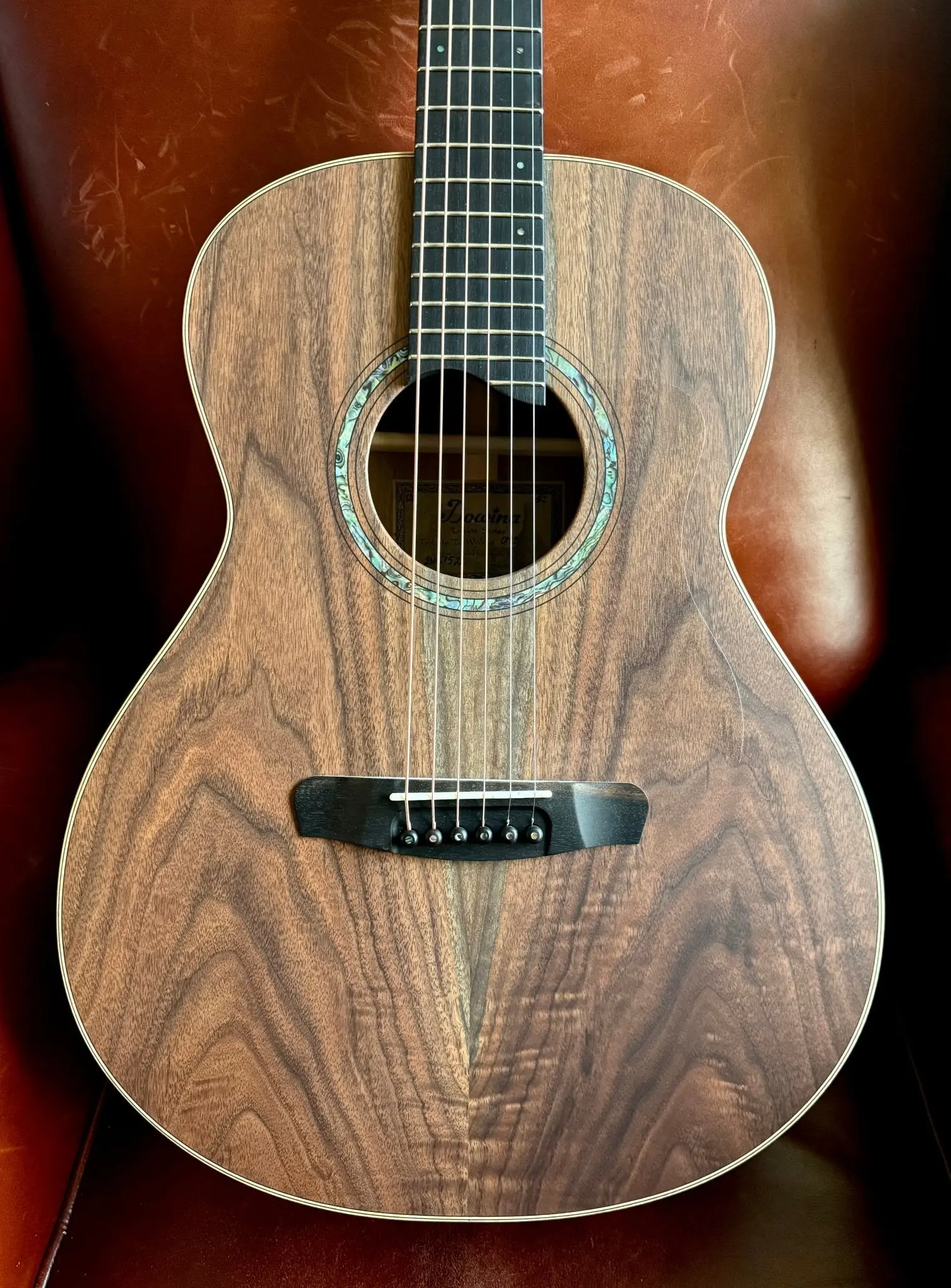 Dowina Walnut Tribute OMG - Image 4