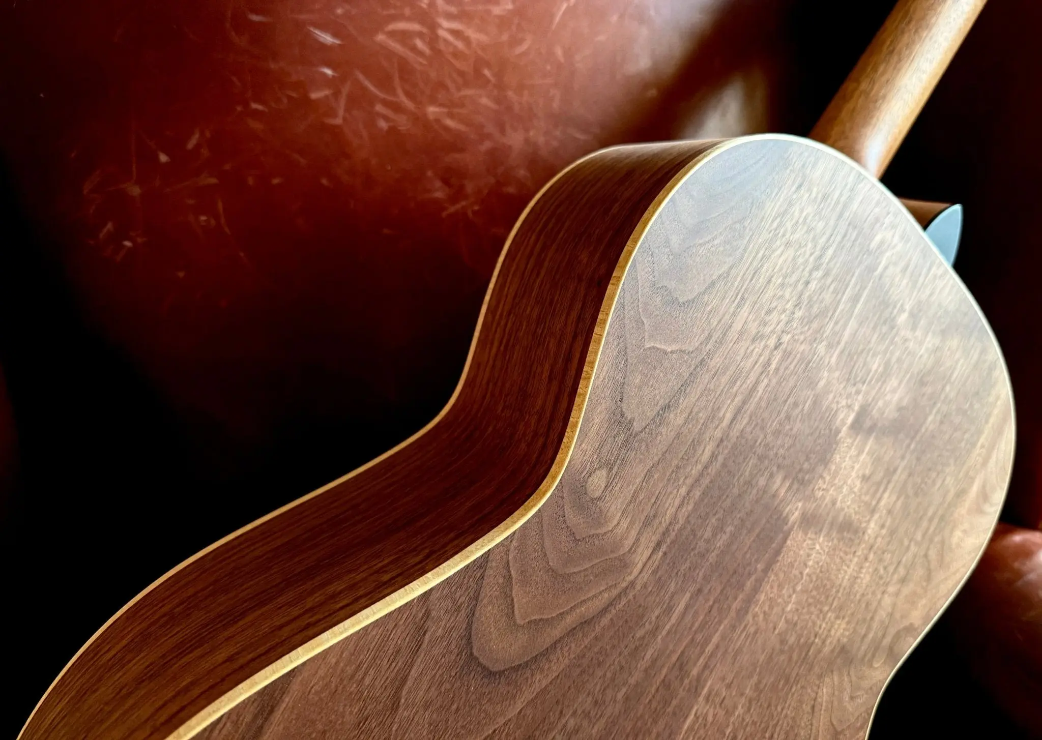 Dowina Walnut Tribute OMG - Image 6