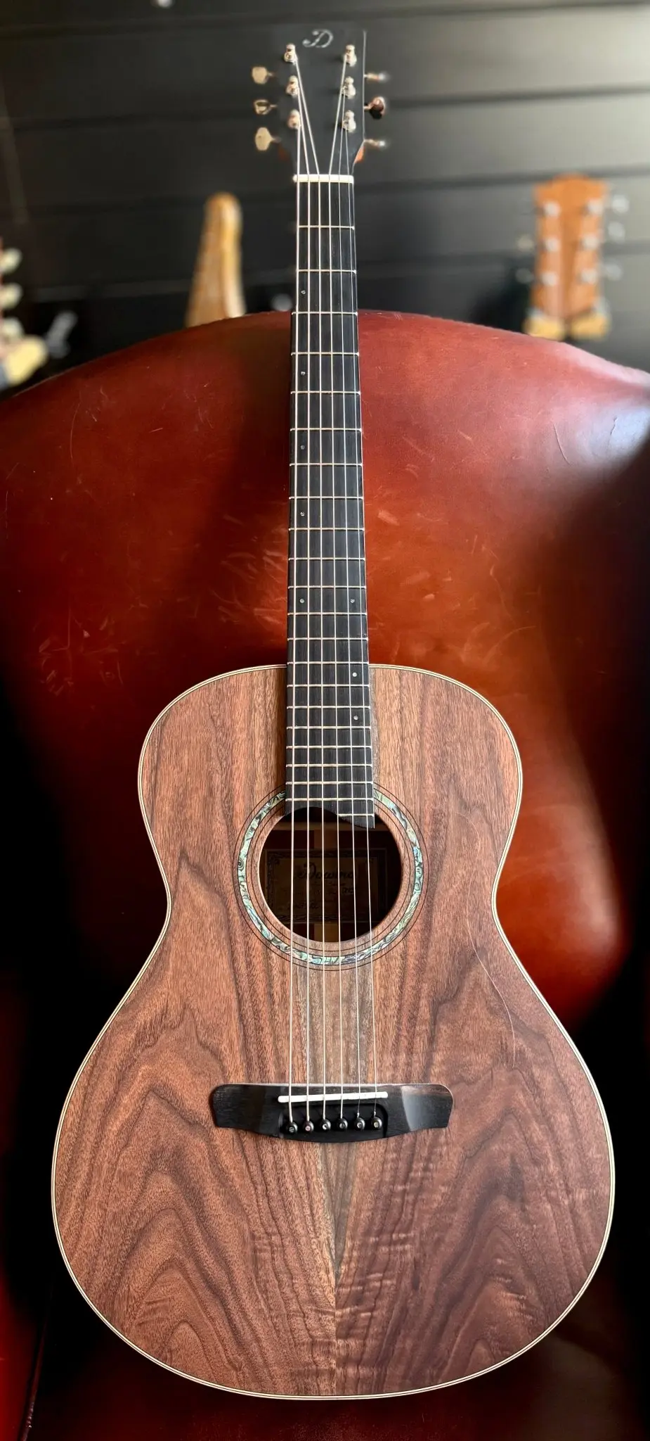 Dowina Walnut Tribute OMG - Image 8