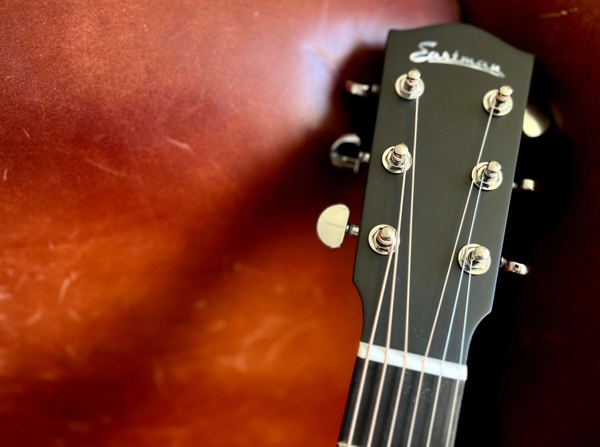 Eastman AC222CE-DLX-GB  (Price inc. Custom Pro Setup Package) - Image 12