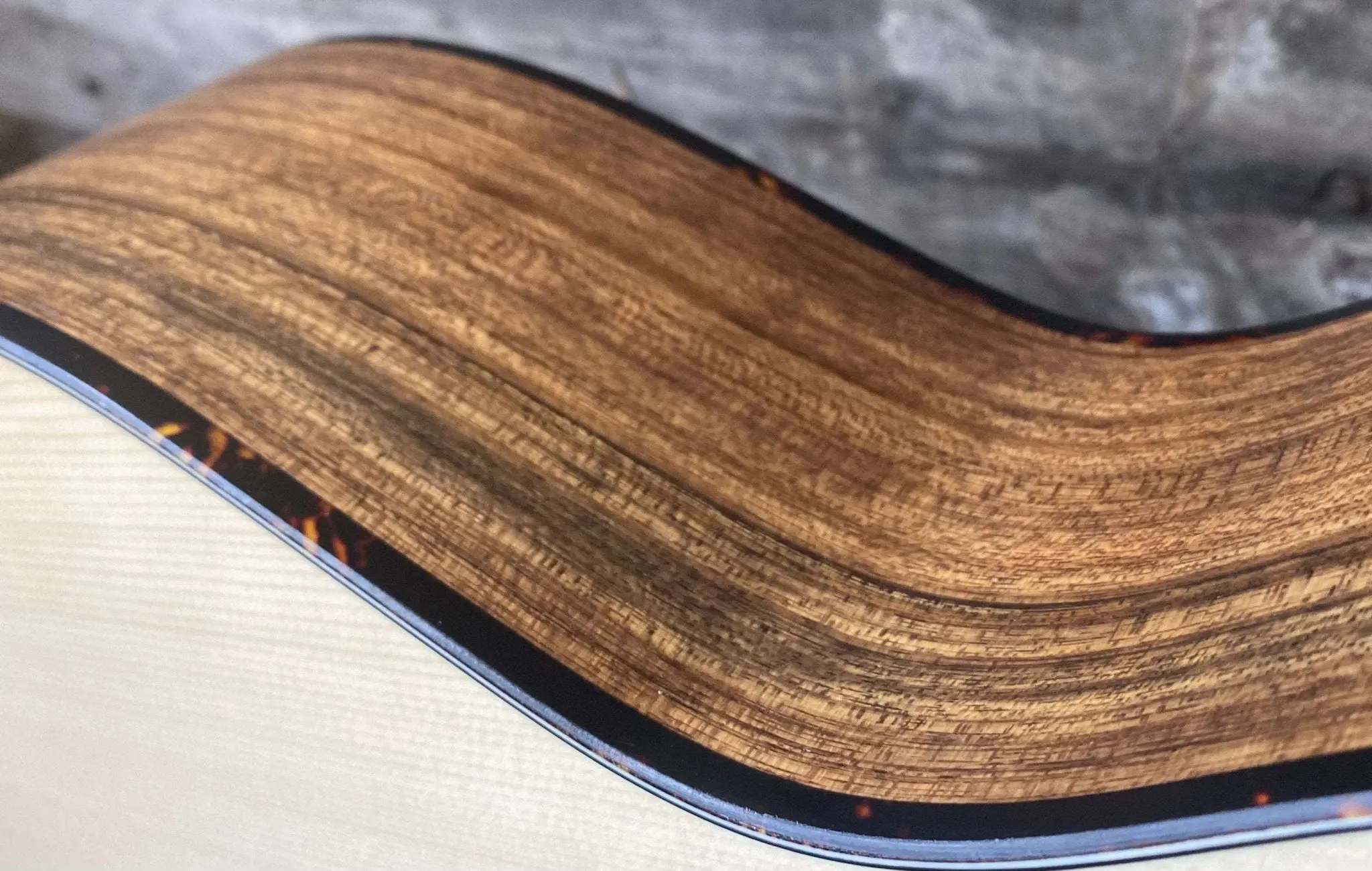 Eastman ACTG-2E (Custom Pro)  Travel Guitar - Image 6