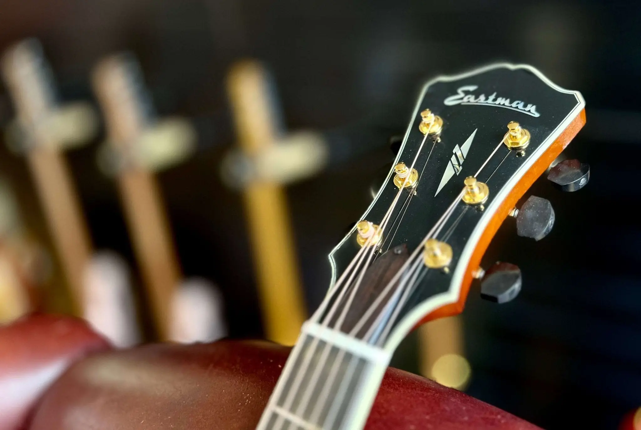 Eastman AR805CE GB Arch Top Semi Acoustic Guitar  (Price inc. Custom Pro Setup Package) - Image 13