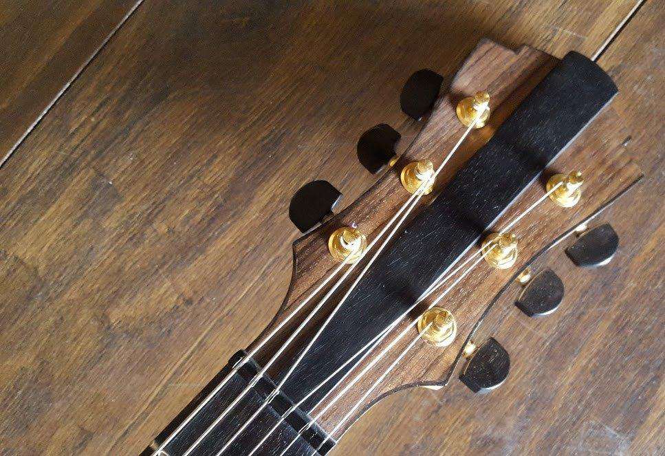 Eastman AR880CE-BD  (Price inc. Custom Pro Setup Package) - Image 10