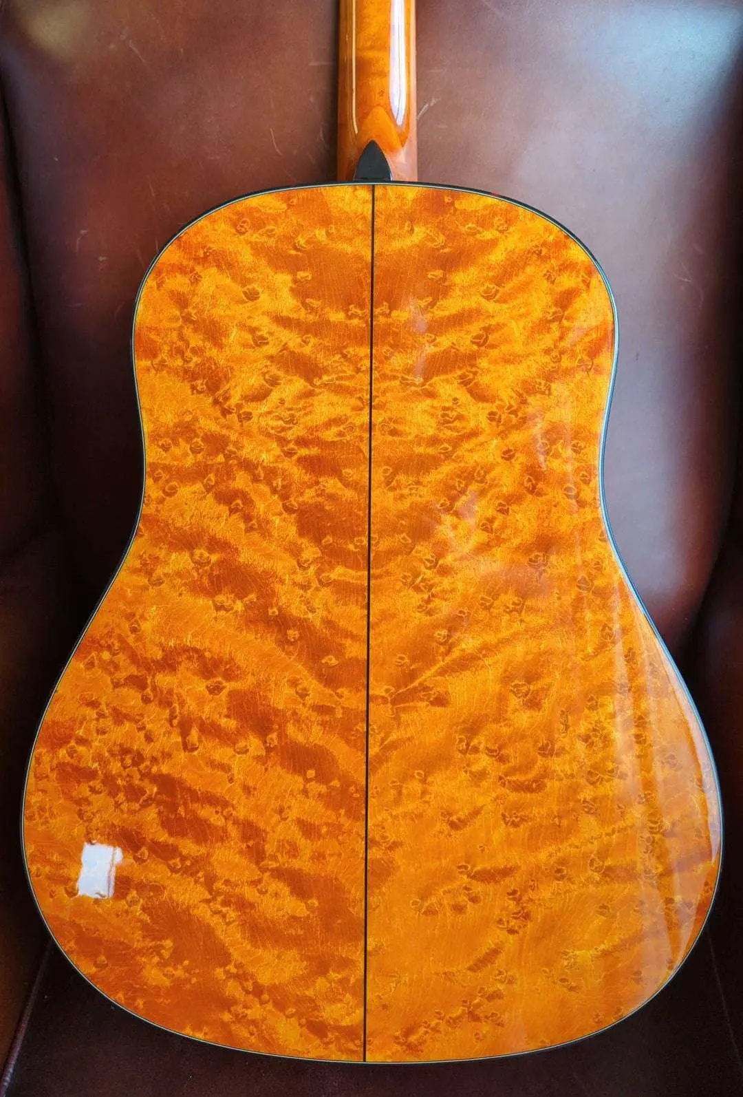 Eastman E16SS-TC-LTD - (INCREDIBLY LIMITED) (2 of 200 Worldwide)  (Price inc. Custom Pro Setup Package) - Image 2