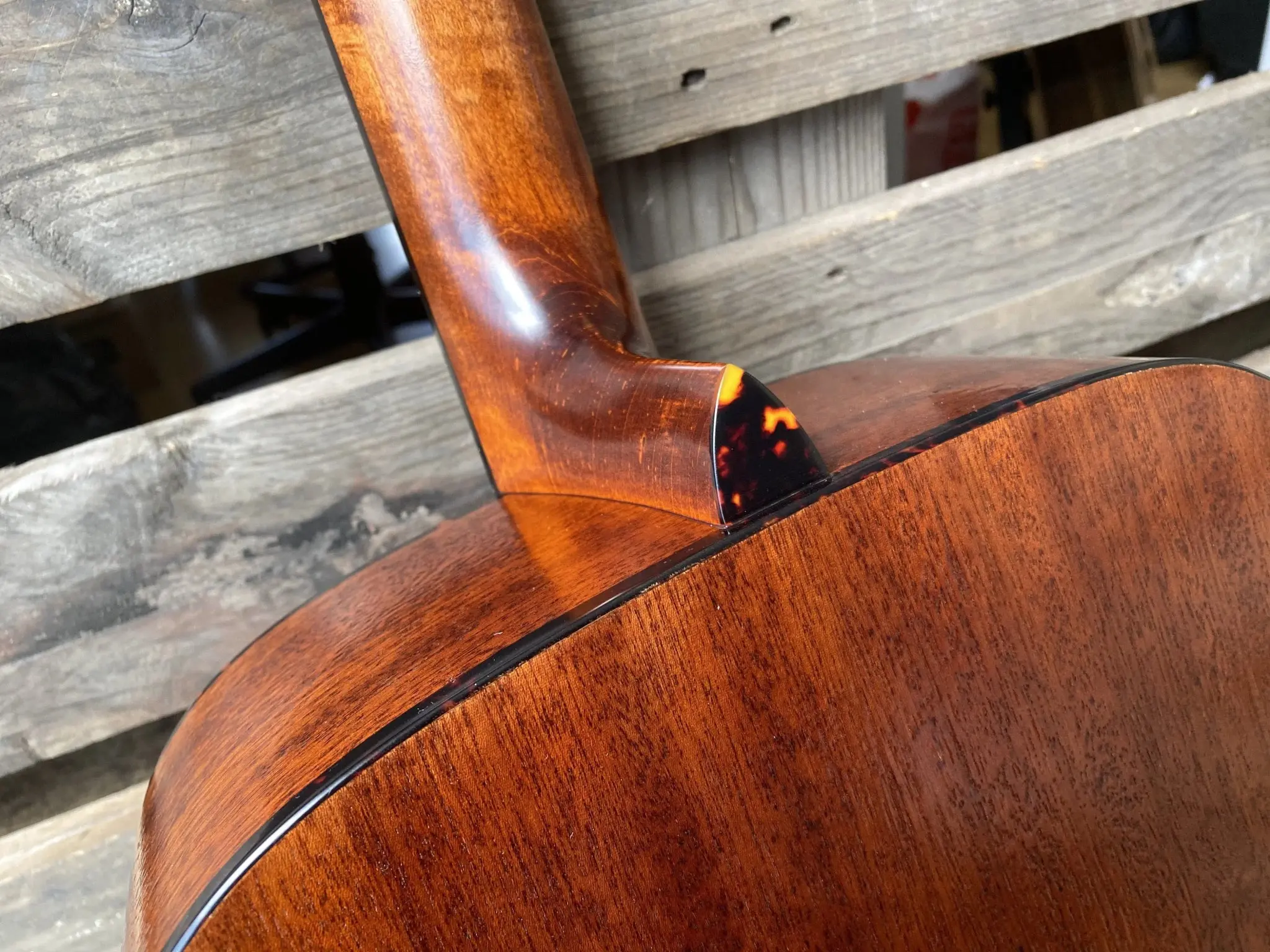 Eastman E1D Classic  (Price inc. Custom Pro Setup Package) - Image 8