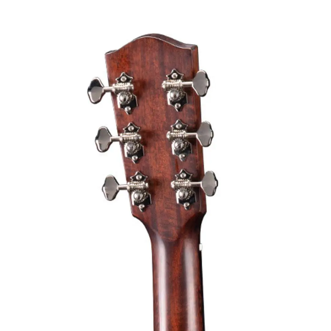Eastman E20 00 SS TC  (Price inc. Custom Pro Setup Package) - Image 6