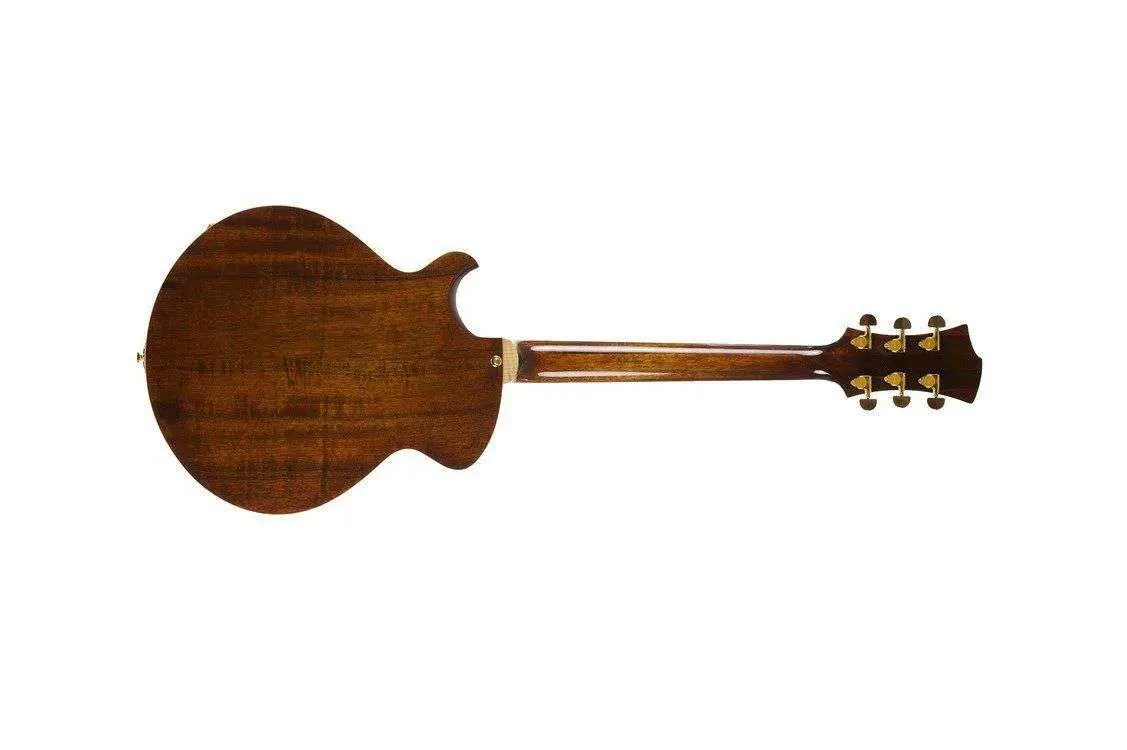 Eastman ER1  (Price inc. Custom Pro Setup Package) - Image 6