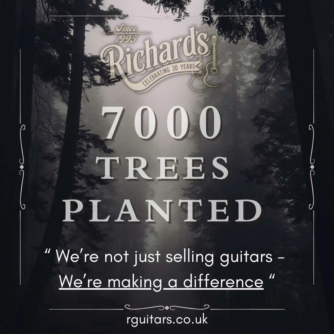 Eastman ER2  (Price inc. Custom Pro Setup Package) - Image 4