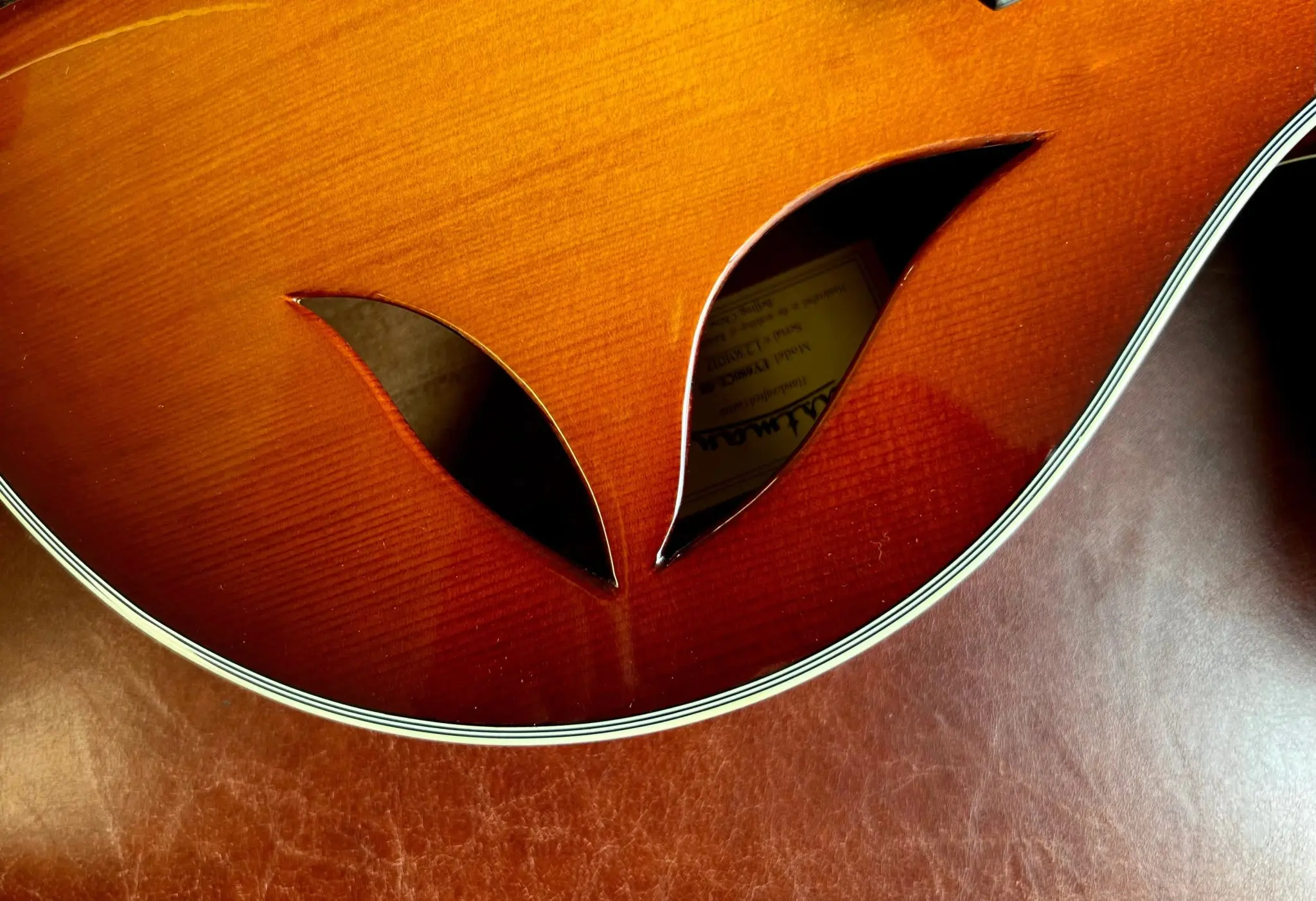 Eastman FV680CE-SB FRANK VIGNOLA MODEL  (Price inc. Custom Pro Setup Package) - Image 10