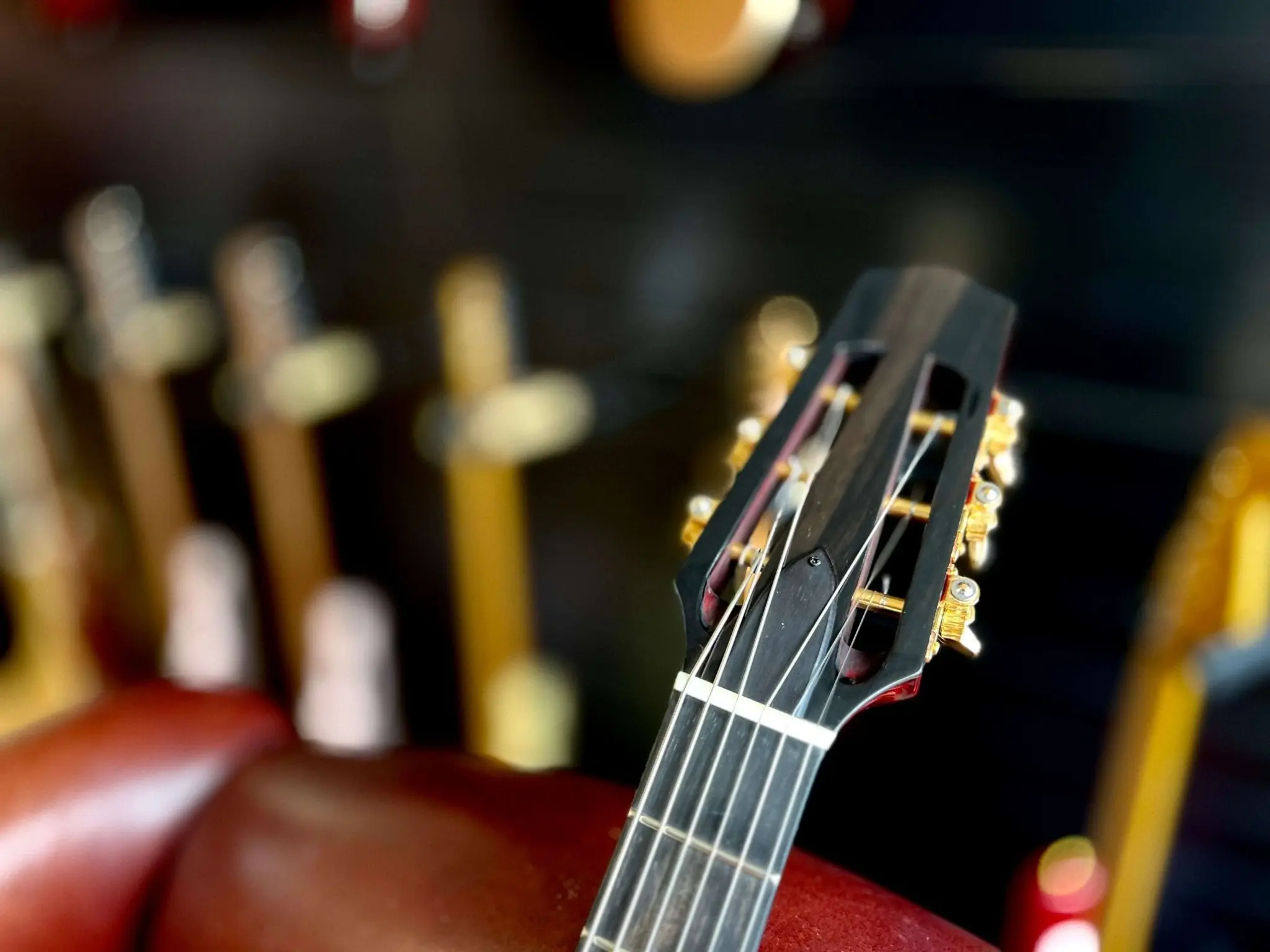 Eastman FV680CE-SB FRANK VIGNOLA MODEL  (Price inc. Custom Pro Setup Package) - Image 8