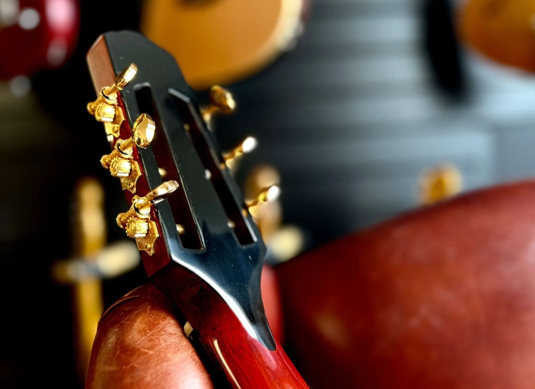 Eastman FV680CE-SB FRANK VIGNOLA MODEL  (Price inc. Custom Pro Setup Package) - Image 9