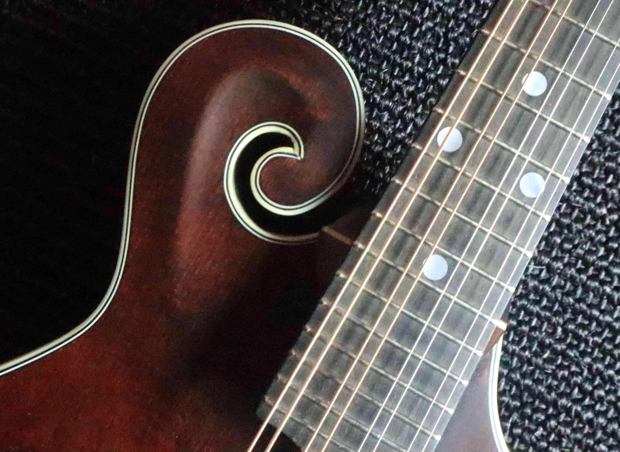 Eastman MD315L F-style Mandolin (F-holes, Solid Spruce top, Solid Maple back and sides, w/Gigbag)  (Price inc. Custom Pro Setup Package) - Image 6