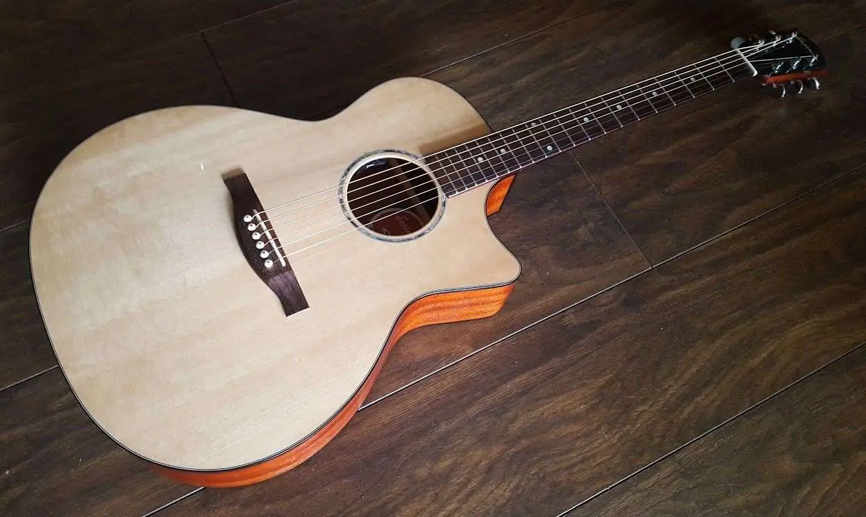 Eastman PCH1-GACE 2023 Edition Thermo (Solid Thermo Cured Top) Electro Acoustic Guitar - Image 9