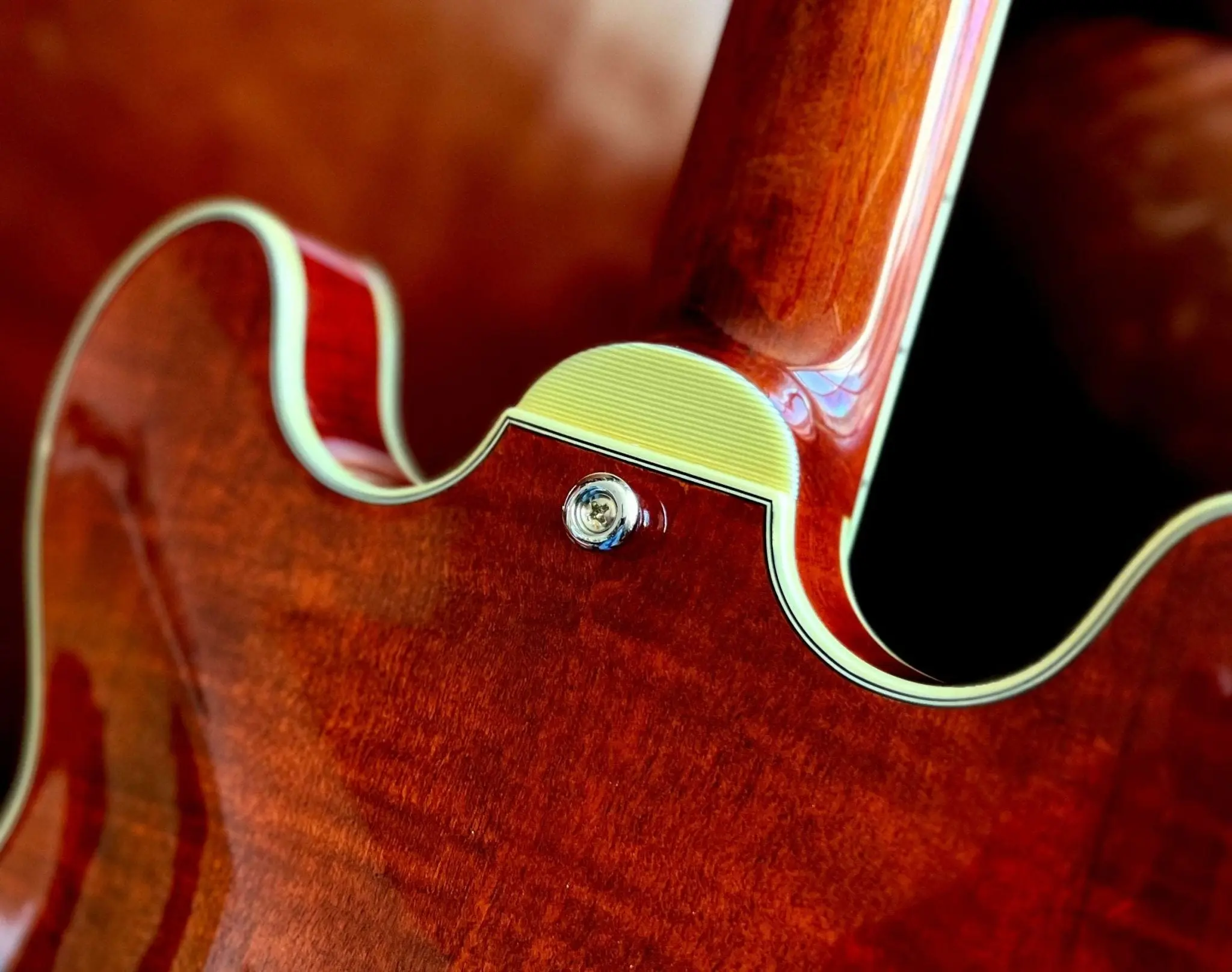 Eastman T484 Classic  (Price inc. Custom Pro Setup Package) - Image 5