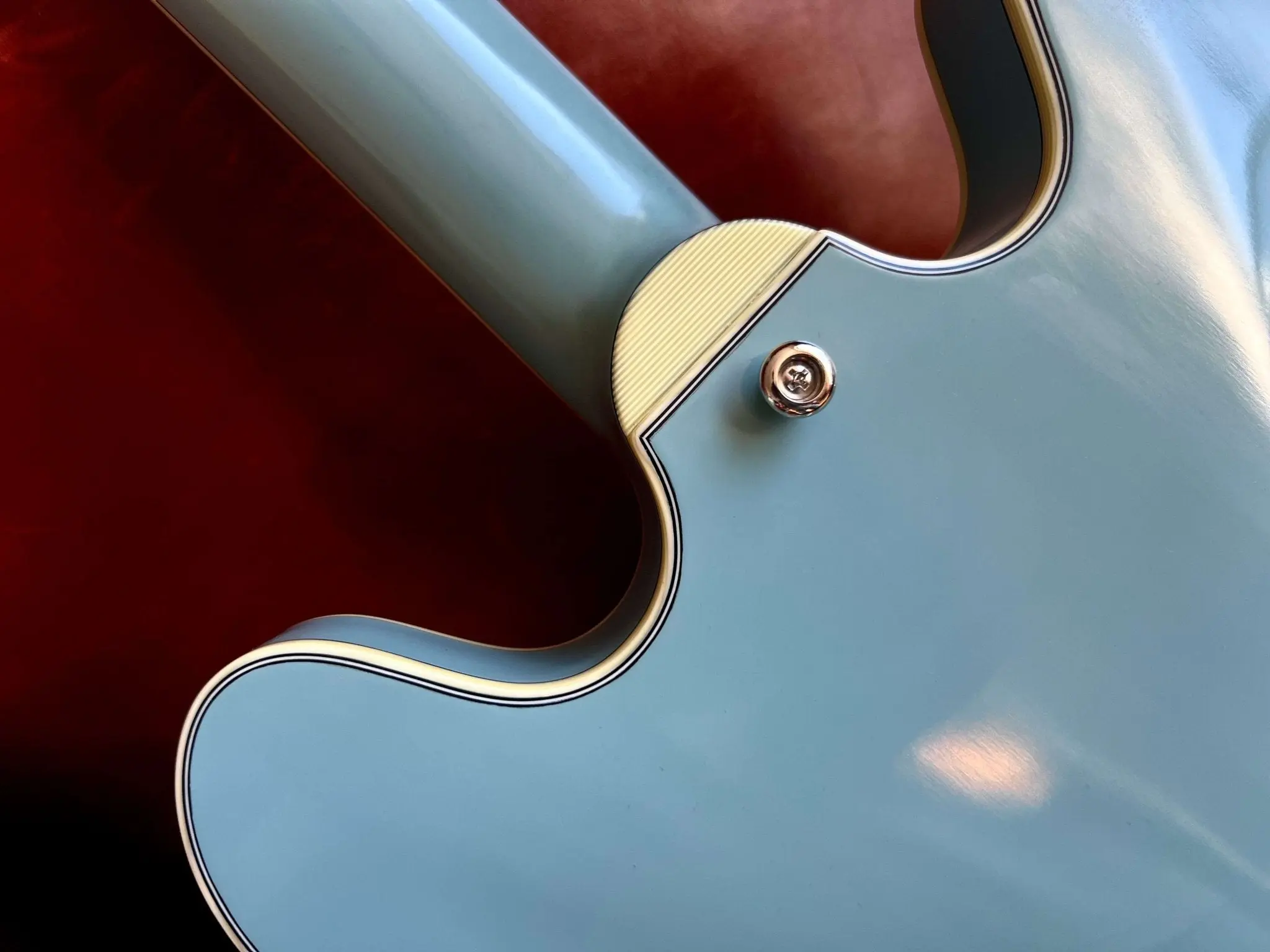 Eastman T60/TV-LTD-FB  (Price inc. Custom Pro Setup Package) - Image 8