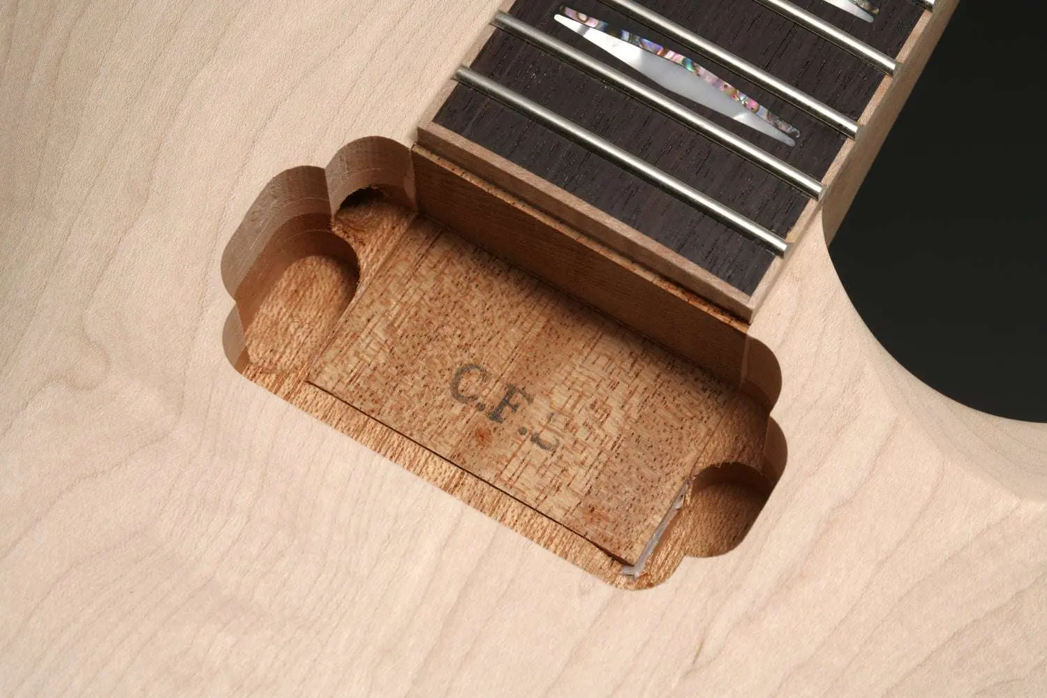 FGN Expert Flame, EFLFMR Vintage Violin Electric Guitar - Image 16